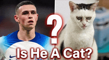 Who Is He Manchester City GIF