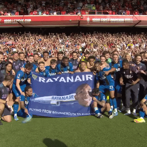 Happy Premier League GIF by AFC Bournemouth