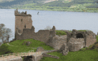 200w.gif?cid=790b76115cf9ccce5035506763d5d372&rid=200w.gif