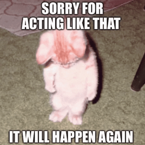 Sorry Cat GIF