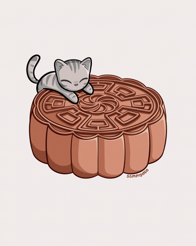 Chinese Cat GIF