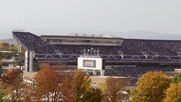 Football College GIF by James Madison University