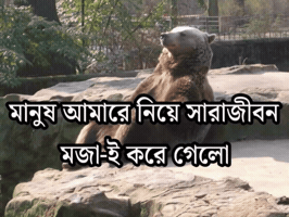 Memes GIF