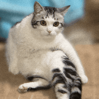 Waking Up Sleeping GIF