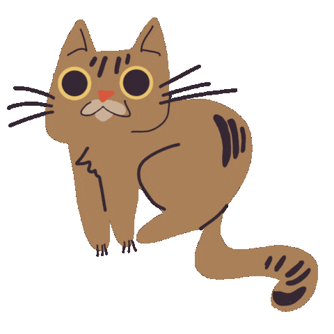 Cat Gatos Sticker by universoanimalmx