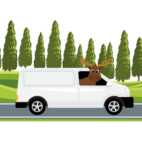 Smaland campers Brand Accounts GIF