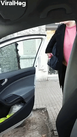 Woman With Troll Hair Struggles To Get Into Car GIF by ViralHog