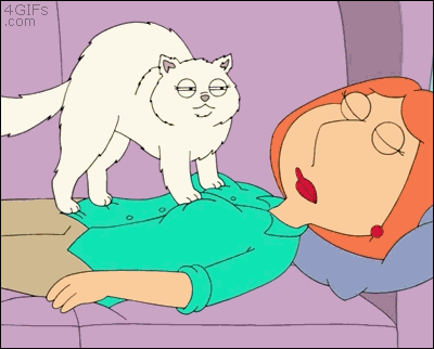 family guy sexual harrassment GIF
