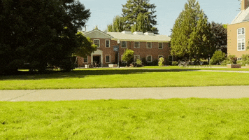 solar car GIF by Linfield College
