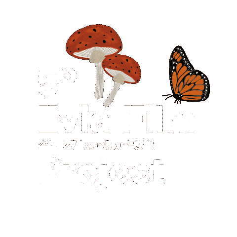Tiff Evia Sticker by Thessaloniki International Film Festival