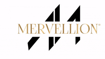 mervellion GIF