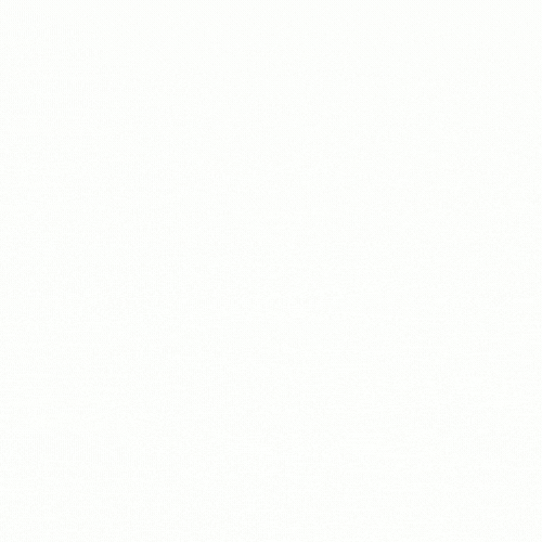 RGC GIF