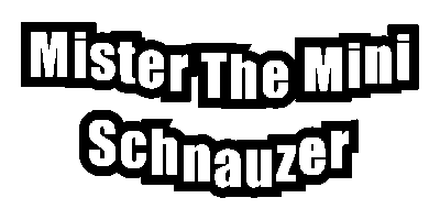 Good Morning Hello Sticker