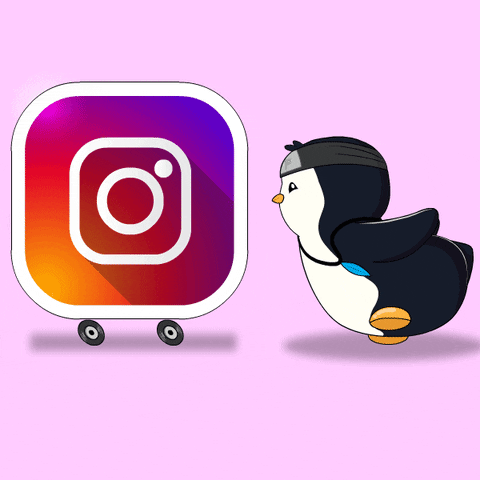 Chasing Social Media GIF by Pudgy Penguins