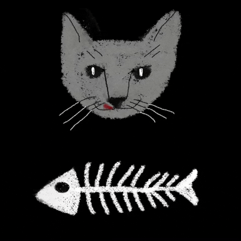 Cat And Fish GIF by Barbara Pozzi
