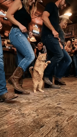 Dance GIF