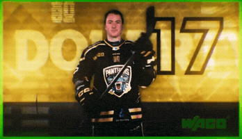 Ice Hockey Panthers GIF