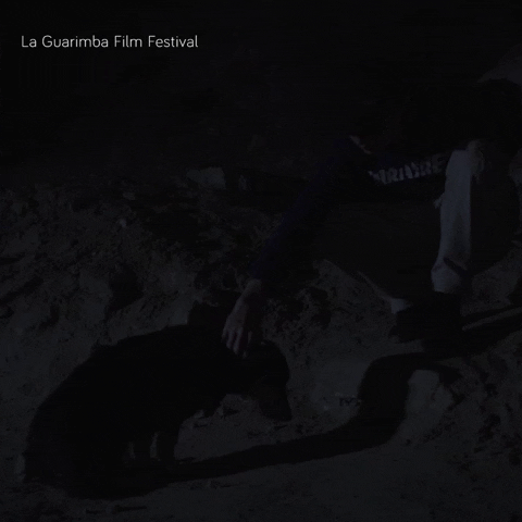 Pet A Dog Cuddle GIF by La Guarimba Film Festival