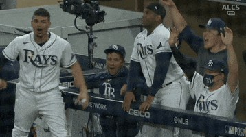 Excited Tampa Bay Rays GIF by Jomboy Media