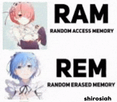 Re Zero Felix GIF