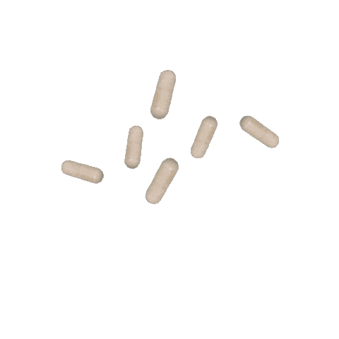 Bloat No More Sticker