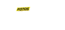 Focora Sticker by Foco Radical
