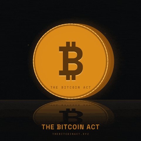 Btc GIF by The Bitcoin Act