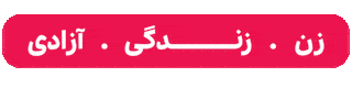 Loop Iran Sticker by Article18