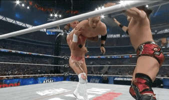 All In Wrestling GIF
