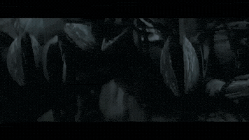 apixelpixie  GIF