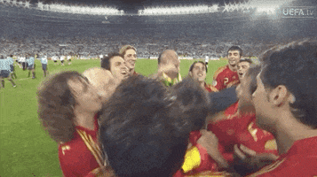 Celebrate Spain National Team GIF by UEFA