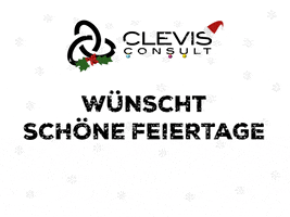 Merry Christmas Holiday GIF by CLEVIS
