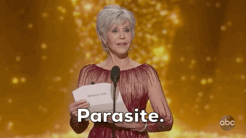 Jane Fonda Oscars GIF by The Academy Awards