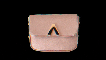 Fashion Bags GIF by It's Lava