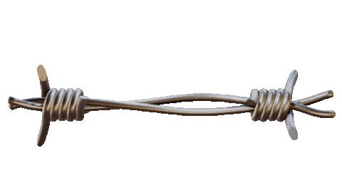 Source: Cavan Infante