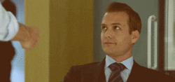 suits pound GIF