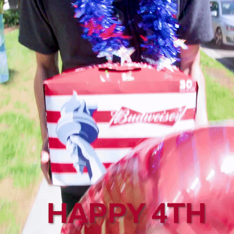 Independence Day Happy 4Th GIF by LuckyView