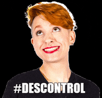 DescontrolFest GIF
