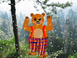 Beardance GIF