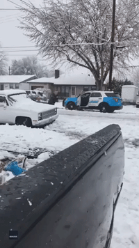 ‘Watch Out Before He Calls for Backup’: Locals Have Snowball Fight With Oregon Cop