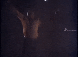 Rajinikanth GIF