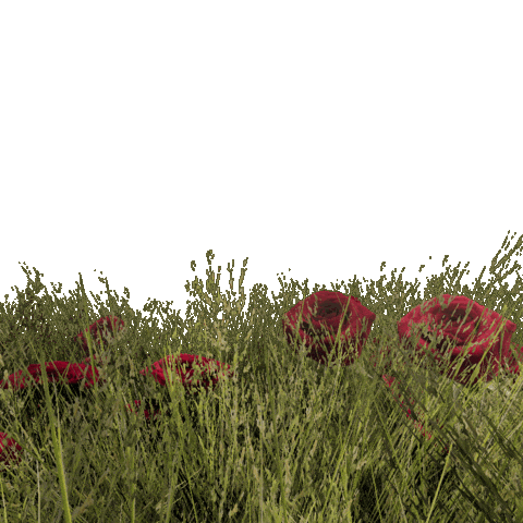 Summer Flowers Sticker