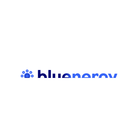 Bluenergysolar Sticker