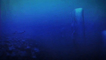 beyondbluegame underwater whales beyondbluegame sperm whales GIF