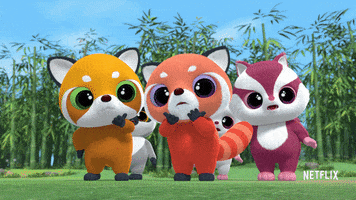 Surprised Red Pandas GIF by YooHoo to the Rescue