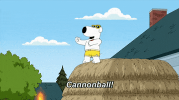 family guy swimming GIF by Fox TV