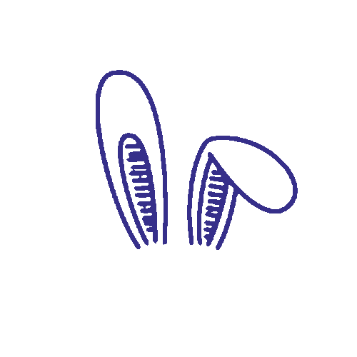 digaxisapp Sticker