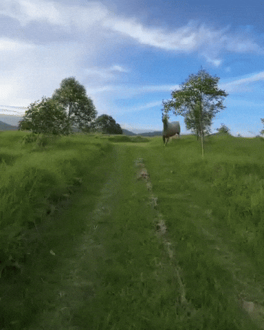 Excited Watch Me GIF