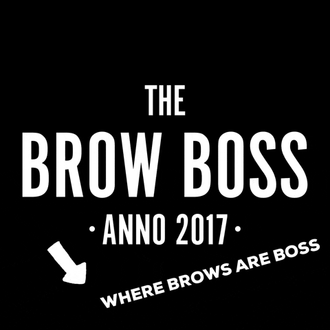 thebrowbossnl boss brows browboss brow boss GIF