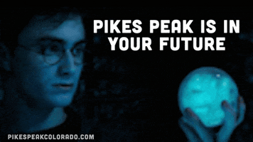 Driving Harry Potter GIF by Drive Pikes Peak